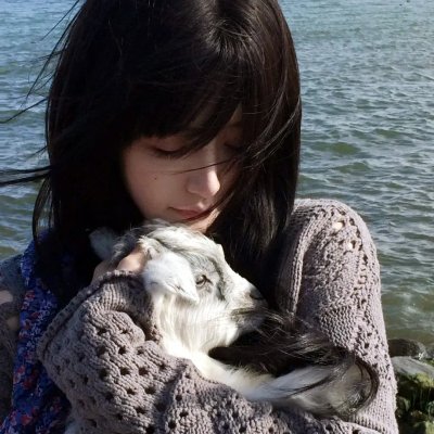 塔斯马尼亚恶魔